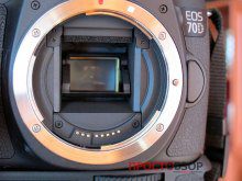 Цифровой сенсор фото-камеры Canon EOS 70D