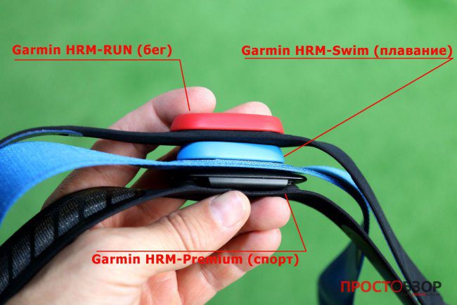 Сравнение пульсометров по толщине Garmin HRM-RUN, HRM-Swim , HRM-Premium