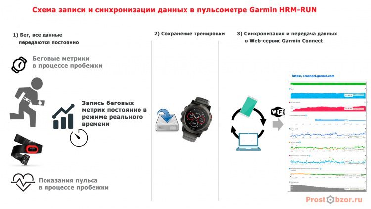 Схема работы пульсометра Garmin HRM-RUN