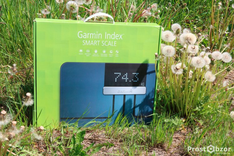 Внешний вид коробки весов Garmin Index Scale - вид спереди