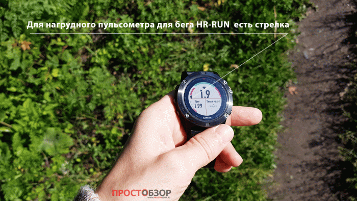 Указатель состояния при беге с нагрудным пульсометром Garmin HRM-RUN