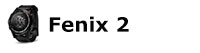 Logo-Fenix-2